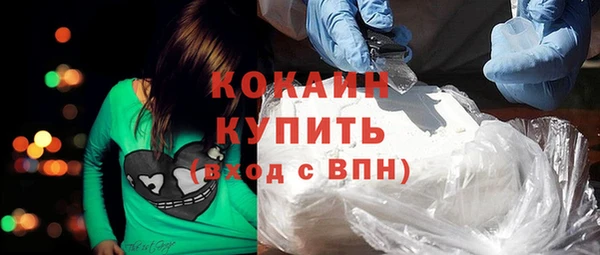 прущие грибы Заволжск