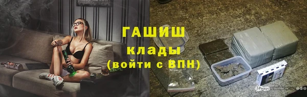 прущие грибы Заволжск