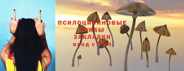 прущие грибы Заволжск