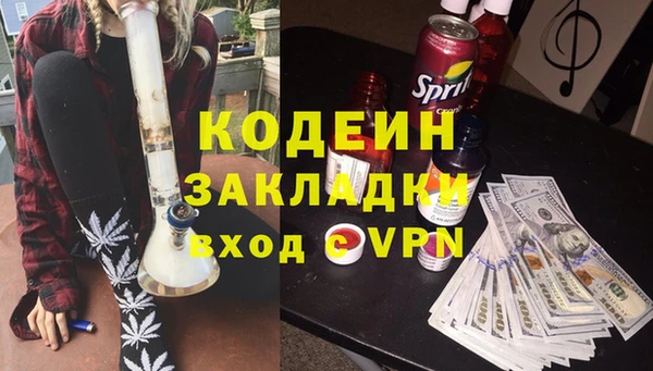 прущие грибы Заволжск