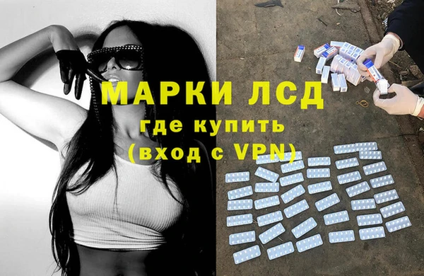 прущие грибы Заволжск