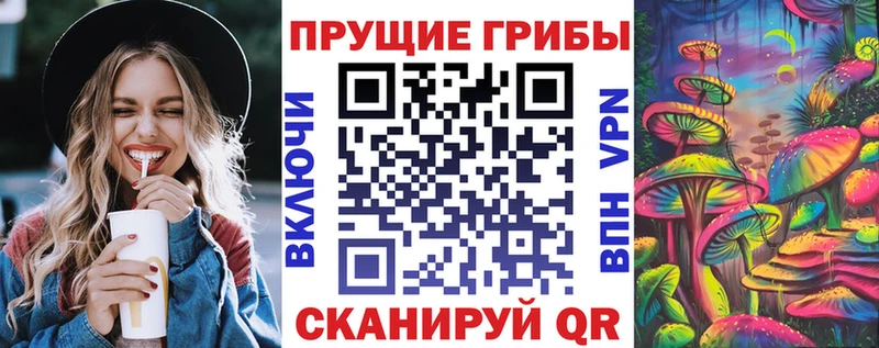 Псилоцибиновые грибы Psilocybe  магазин продажи наркотиков  Чапаевск 