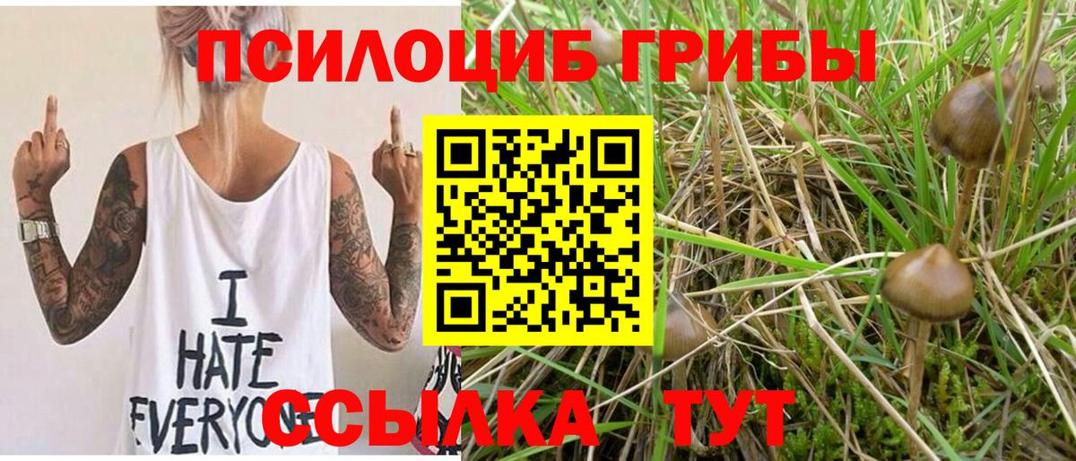 где продают   Вход с VPN  Чапаевск  Псилоцибиновые грибы Magic Shrooms 