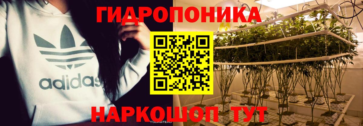 Каннабис Amnesia Чапаевск